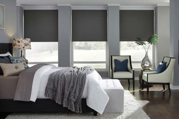 Lutron Blackout shades