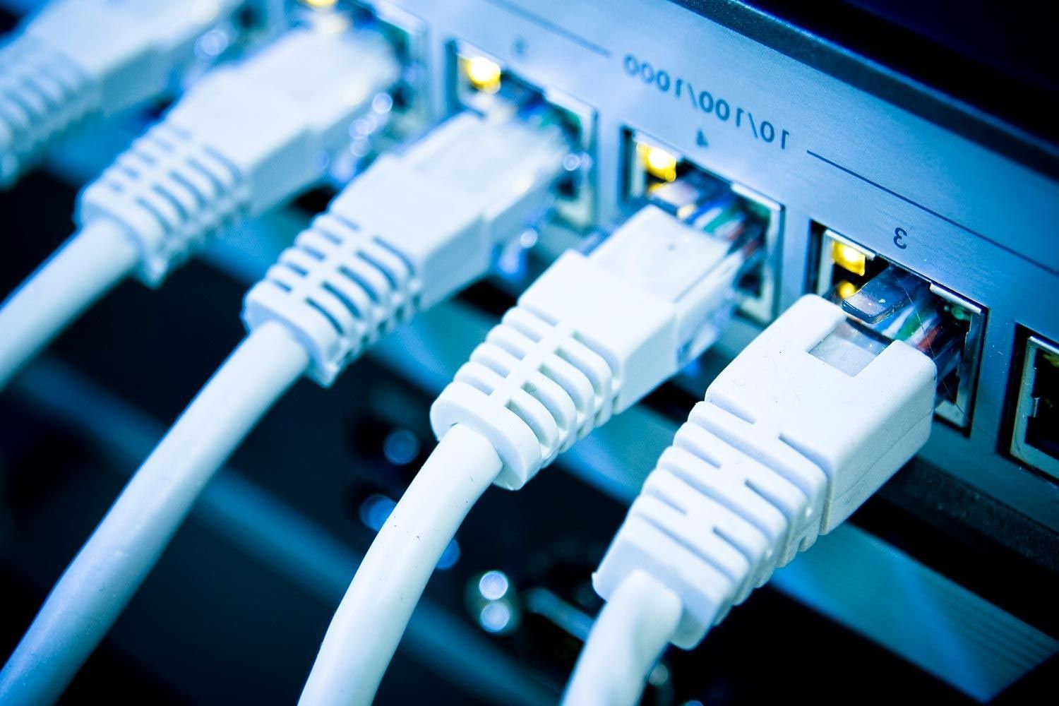 Close-up view of multiple Ethernet cables connected to a network switch.