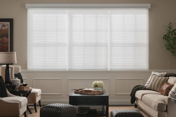 Roman Shades by Lutron