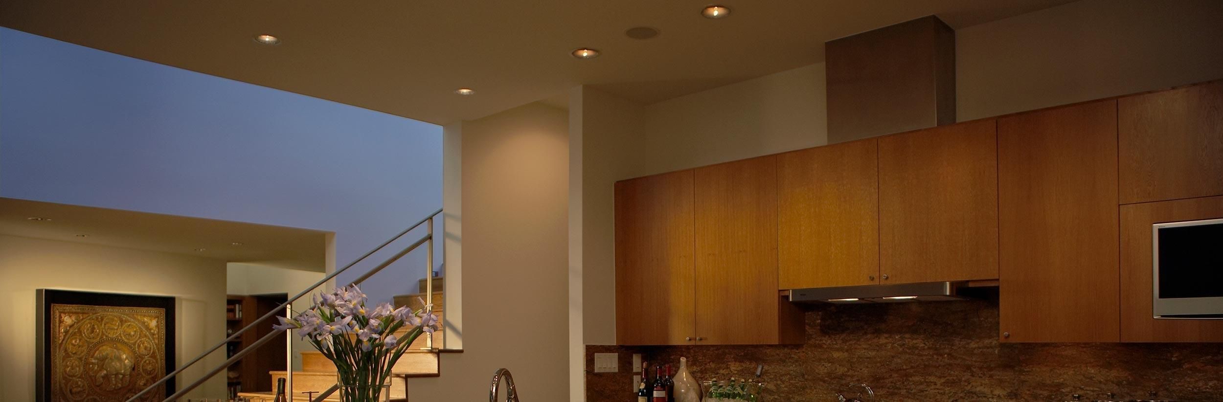 A Lutron retrofit lighting solution, seamlessly integrating into existing spaces with modern efficiency and style.